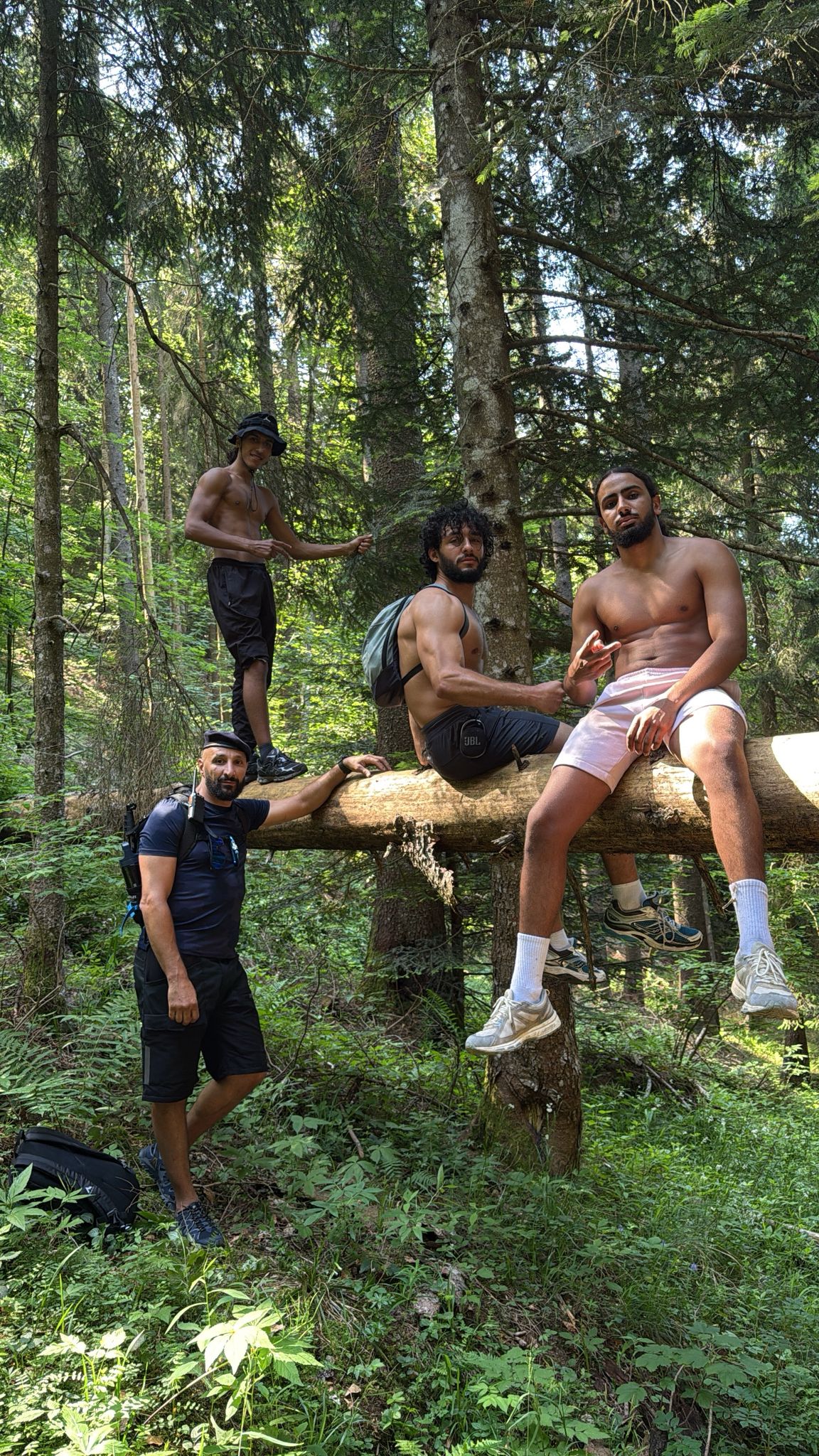 Entraide collective